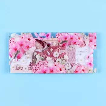 Конверт для денег «Универсальный!» пластиковый, 16 х 8 см