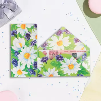 Конверт для денег "Универсальный" ромашки, 16,5 х 8 см