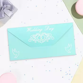 Конверт для денег Wedding day, 168 см