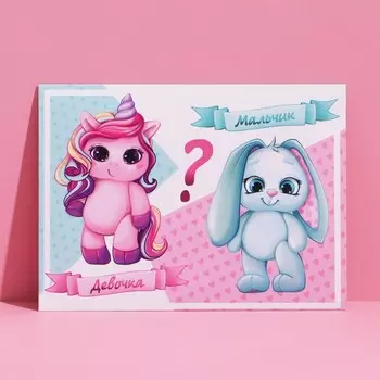 Конверт подарочный «Мальчик или девочка», 15 × 11 см