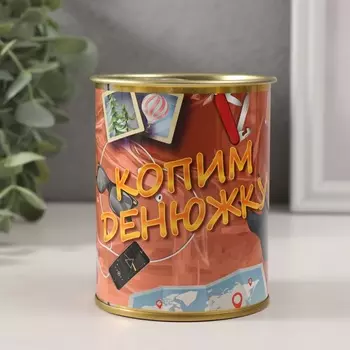 Копилка для денег «Банка. Копим денежку», металл
