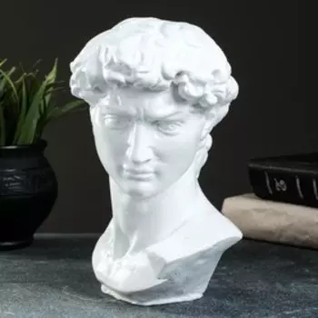 Копилка для денег «Бюст Давида», гипс, 2013 см