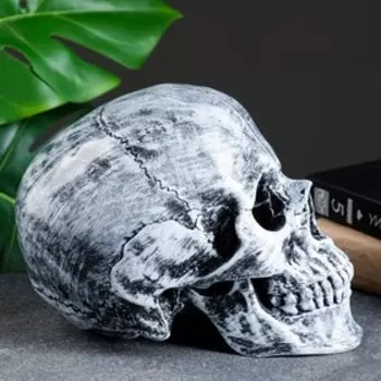 Копилка для денег «Череп», полистоун, 161322 см