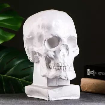 Копилка для денег «Череп», гипс, белая, 2319 см