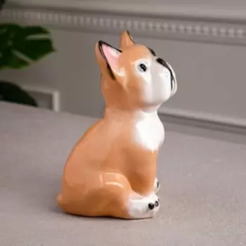 Копилка "Французский бульдог", глянец, бежевый цвет, 19 см