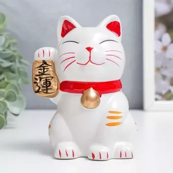 Копилка для денег «Манэки-нэко - иероглиф: богатство», керамика, 11.597.3 см, МИКС