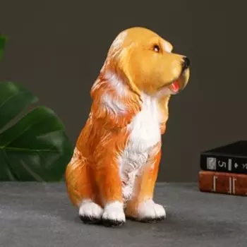 Копилка для денег «Кокер», гипс, 161426 см