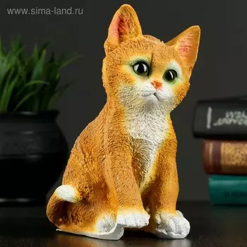 Копилка для денег «Котёнок», полистоун, 19.514 см