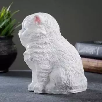 Копилка для денег «Котёнок», гипс, белый, 1612 см