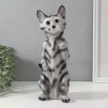 Копилка "Котенок Том" 27 х 10 х 10 см.