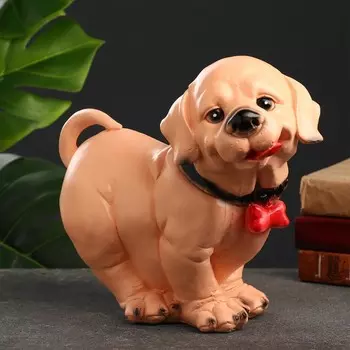 Копилка для денег «Лабрадор светлый», гипс, 3027 см