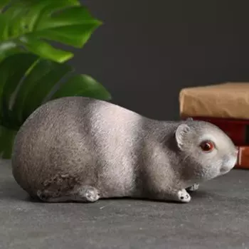 Копилка "Морская свинка" 25х12х12см