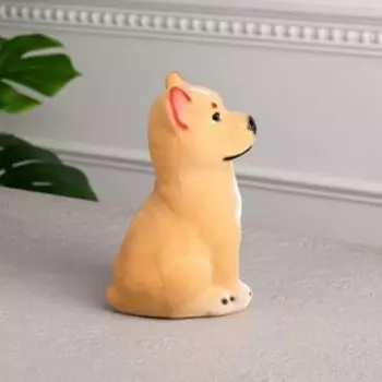 Копилка "Питбуль", бежевый цвет, флок, 18 см