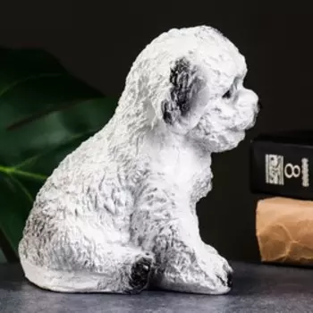 Копилка для денег «Пудель», гипс, 1514 см