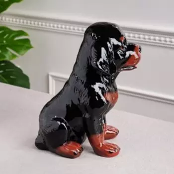 Копилка "Ротвейлер", глянец, чёрный цвет, 28 см, микс