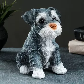 Копилка для денег «Щенок Миттельшнауцера», полистоун, 161017 см