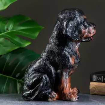 Копилка для денег «Щенок ротвейлера», гипс, 281723 см