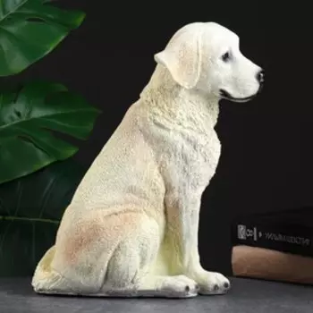 Копилка для денег «Собака лабрадор», полистоун, 352028 см