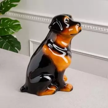Копилка "Собака ротвейлер", чёрный цвет, глянец, 35 см