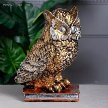 Копилка "Сова на книге", бронзовая, гипс, 27.5 см, микс