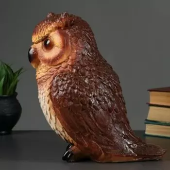 Копилка для денег «Сова средняя», гипс, 262031 см