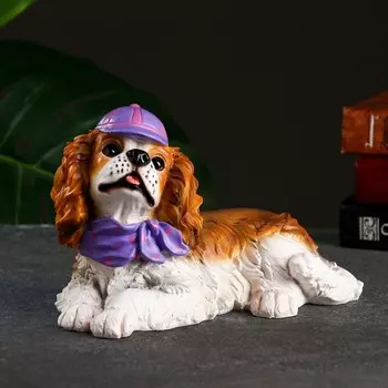 Копилка "Спаниель в кепке" 22х13х14см