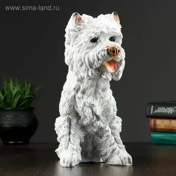 Копилка для денег «Собака вест-хайленд-уайт-терьер», полистоун, 31 см