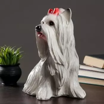 Копилка для денег «Йоркширский терьер сидит», гипс, 302135 см