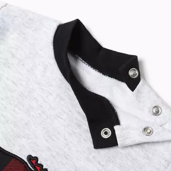 Коплект детский (кофточка, штанишки), цвет серый/красный, рост 74 см