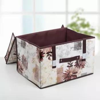 Короб для хранения с крышкой Доляна «Астра», 403025 см