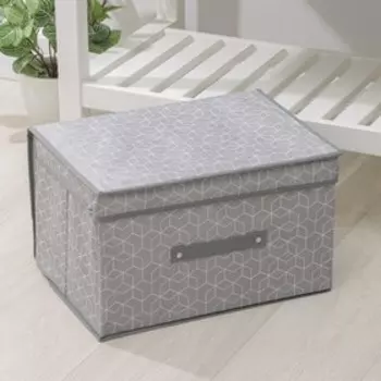 Короб стеллажный для хранения с крышкой Доляна «Фора», 403025 см, серый