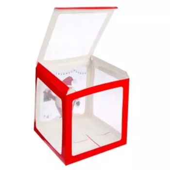 Коробка для воздушных шаров Новый год,красная, 30*30*30 см, 1 шт.