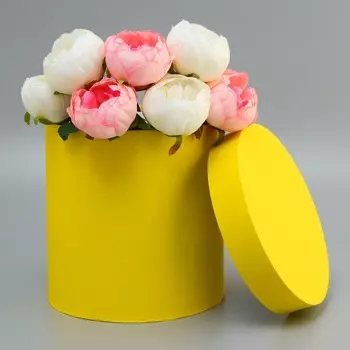 Коробка круглая"Желтая"23*23*23см