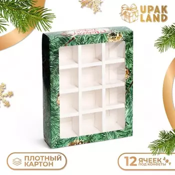 Коробка под 12 конфет «Шишки» , 19153.6 см