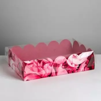 Коробка для печенья, кондитерская упаковка с пластиковой крышкой, Enjoy every moment, 20 х 30 х 8 см