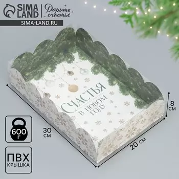 Коробка подарочная с пластиковой крышкой «Счастья в Новом году», 20 х 30 х 8 см