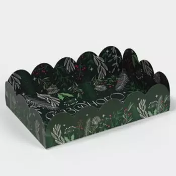 Коробка подарочная с PVC крышкой «Сказочного года», 20 х 30 х 8 см, Новый год