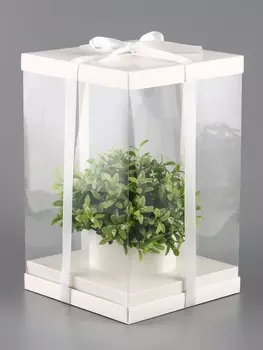 Коробка PVC, для цветов с лентой, 281818 см, белый