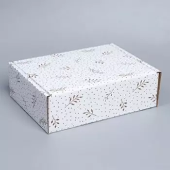 Коробка подарочная сборная, упаковка, «Веточки», белый, 27 х 21 х 9 см