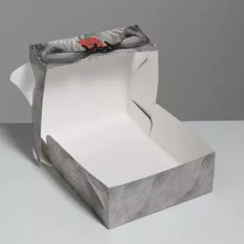 Коробка подарочная складная, упаковка, «Енотик», 25 х 25 х 10 см
