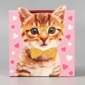 Коробка подарочная складная, упаковка, «Котик», 15 х 15 х 8 см