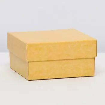 Коробка подарочная складная, упаковка, крышка - дно, крафт, 10105 см