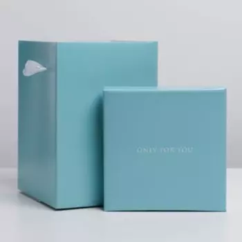 Коробка складная «Present», 17 х 25 см