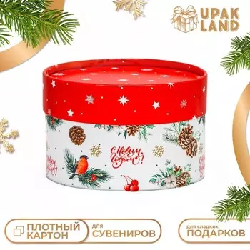 Коробка «Снегирь на веточке» завальцованная без окна 138.5 см