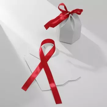 Коробочка подарочная складная «Купол» 445,5, бело-бордовый