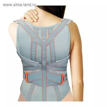 Корректор осанки НТ-КР-22, 2 ребра, размер S, цвет серый
