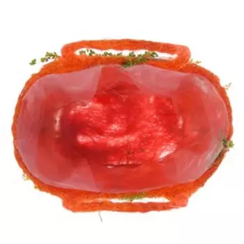 Корзина «Поле», для флористики, с ручкой, 22х13 см,H=10,5/21 см, оранжевая