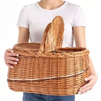 Корзина с крышкой, 42х30х22(30) см