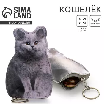 Кошелек детский «Пушистый котик», 811 см