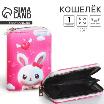 Кошелек детский «Зайка на облаке»1328.5